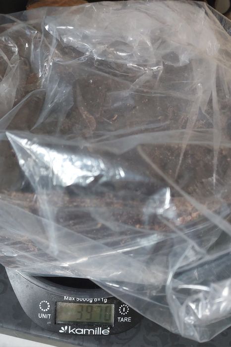 Czekolada gorzka z Belgii ~4 kg – premium, intensywna, kuwertura