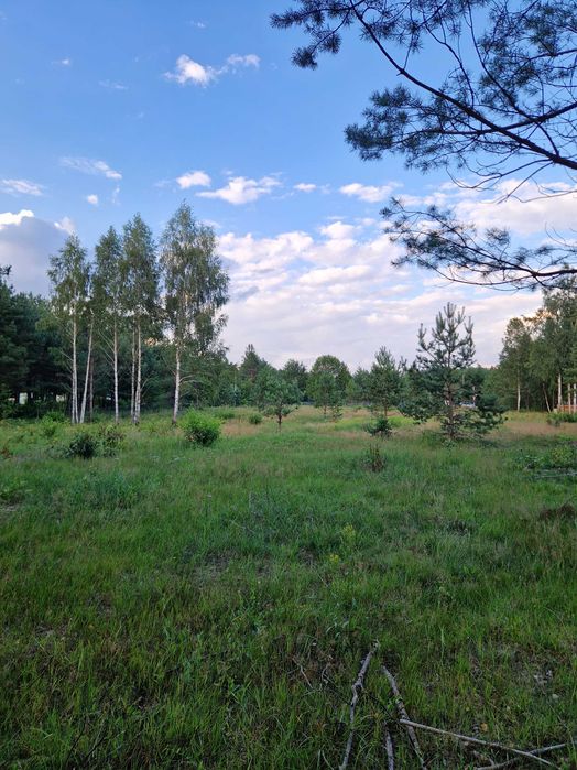 Cztery działki budowlane przy Kanale Augustowskim