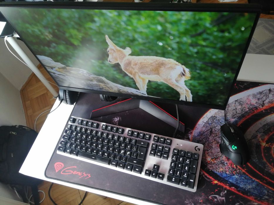 LG UltraGear 24GN60R-B, GOOD Condition!