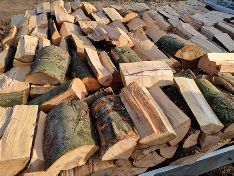 Twarde drewno kominkowe buk dąb jesion