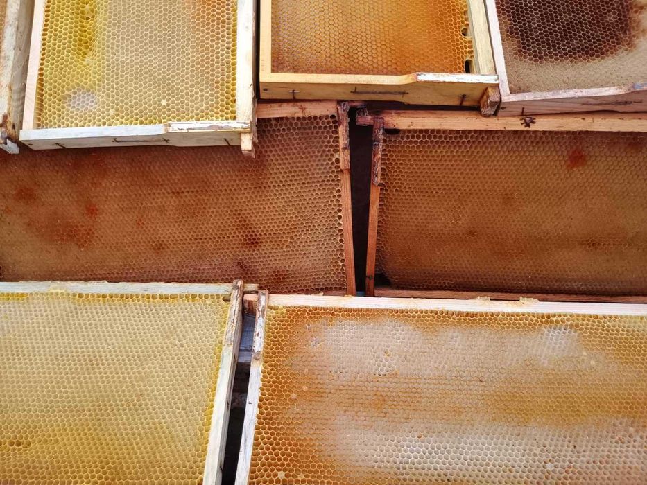 Сушь бджолина рамка Рута 230