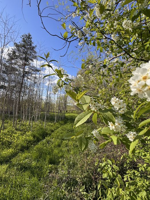 Земля під забудову біля річки у с. Топільське