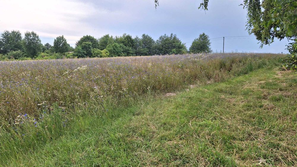 Działka budowlana | 20 km do Lublina | media w działce | piękny widok