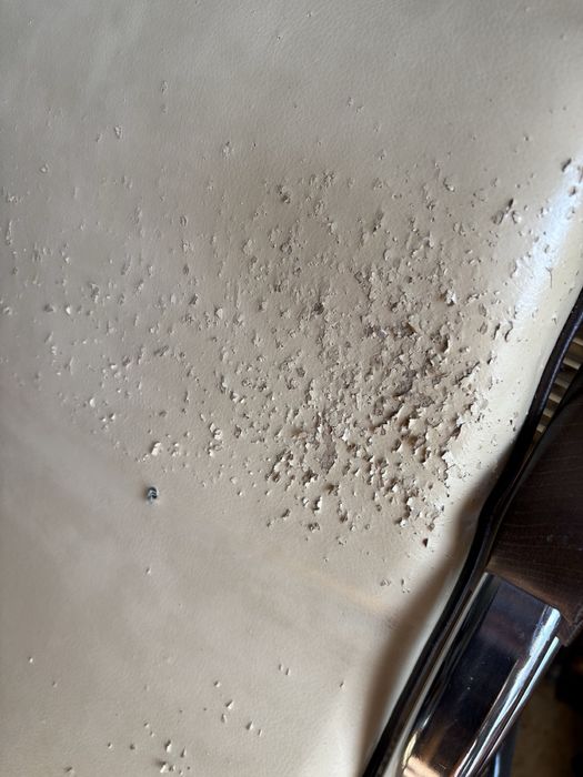 Стілець для відвідувачів