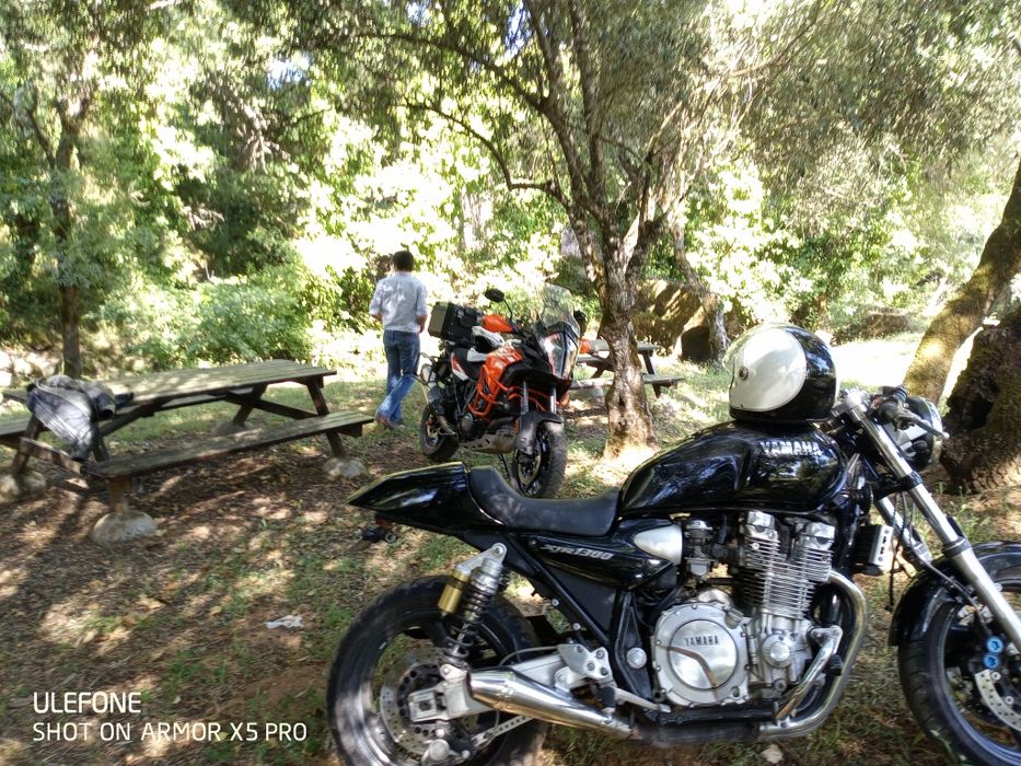 Yamaha XJR 1300 - Café Racer - Naked