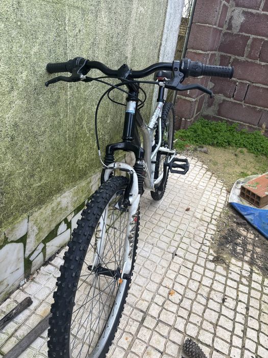 Bicicletas de adulto