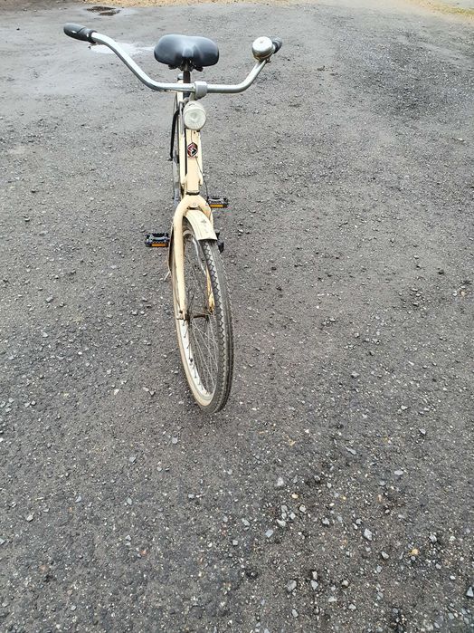 Rower Męski Holenderski