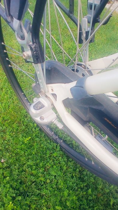 Rower Holenderski Sparta.