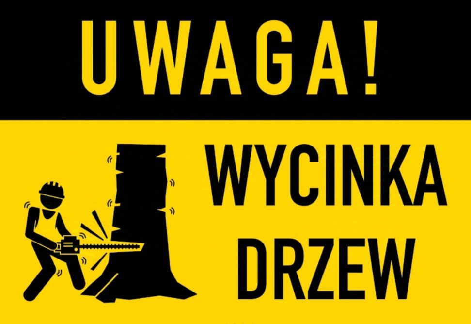 Wycinka drzew Alpinistyczna przycięcie drzew. Wycinka krzewów zarośli