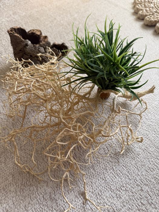 Wyposżenie do terrarium całośc.