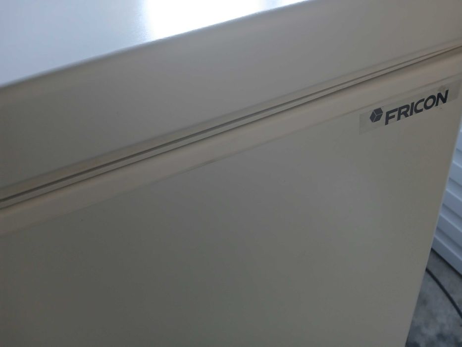 Arca frigorífica grande