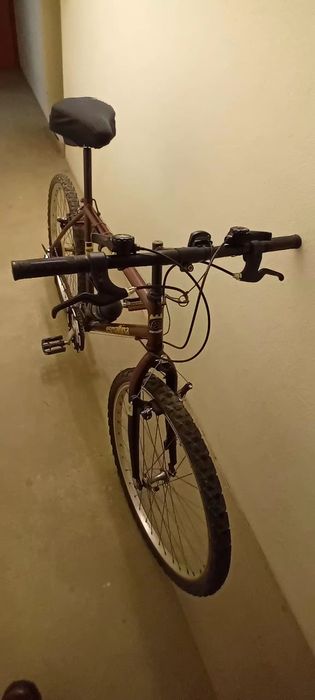 Bicicleta (adulto com pouco uso)