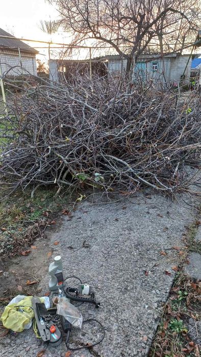 Віддам даром, самовивіз гілки на розтопку