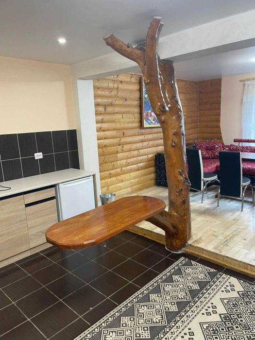 Продамо садибу у Синевирі