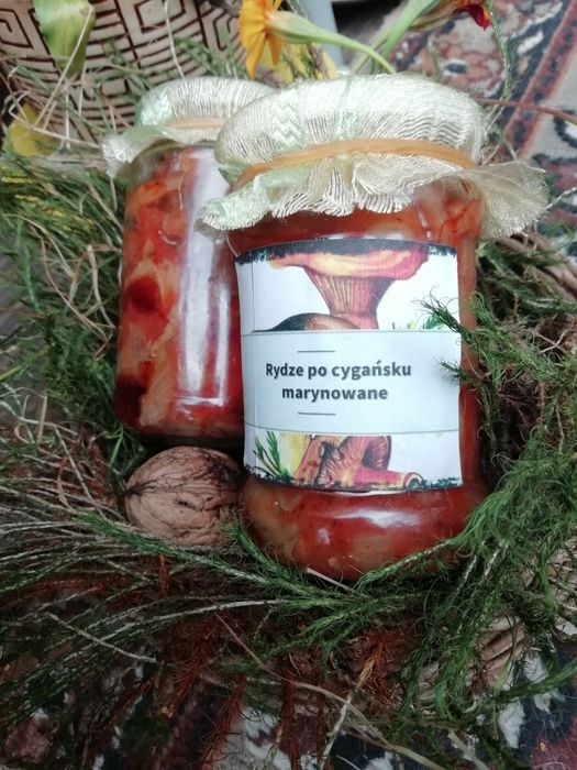 Rydze z beskidzkich lasow