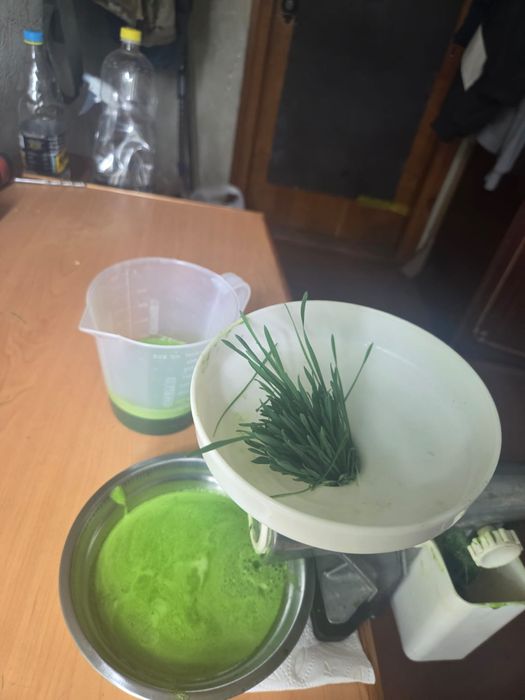 Вітграс та мікрозель