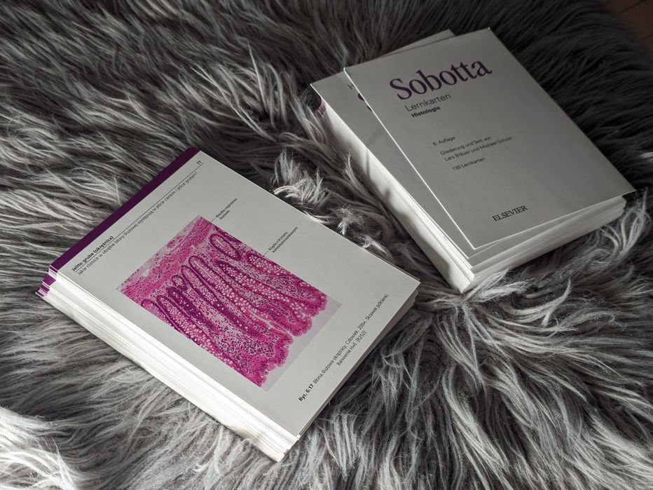 Sobotta Flashcards: Histologia, wydanie 6 fiszki