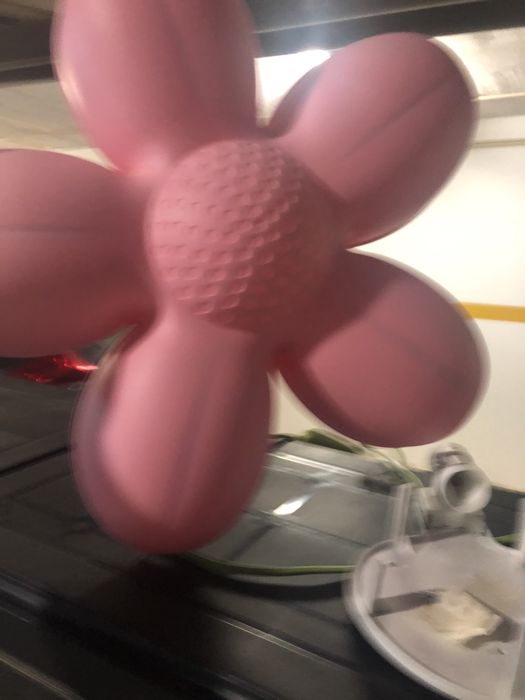 Candeeiro flor crianca