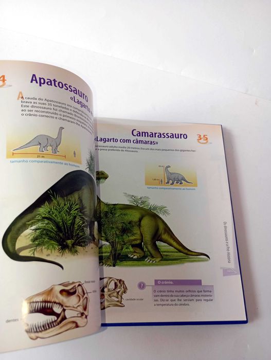 Enciclopédia Ilustrada dos Dinossauros e a Pré-História