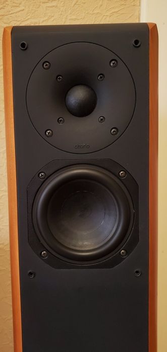 Chario Constellation Cygnus. Hi-End 3-х полосная напольная акустика