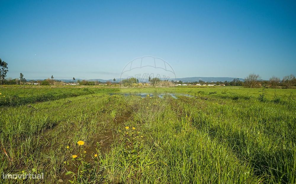 Terreno  para venda — Bunheiro, Aveiro