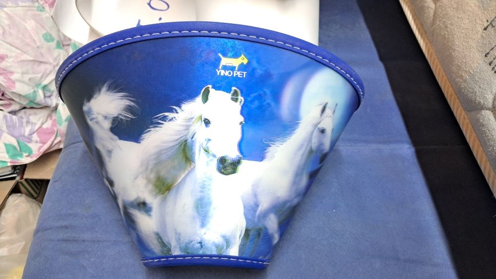 Захисний ковпак комір для тварин