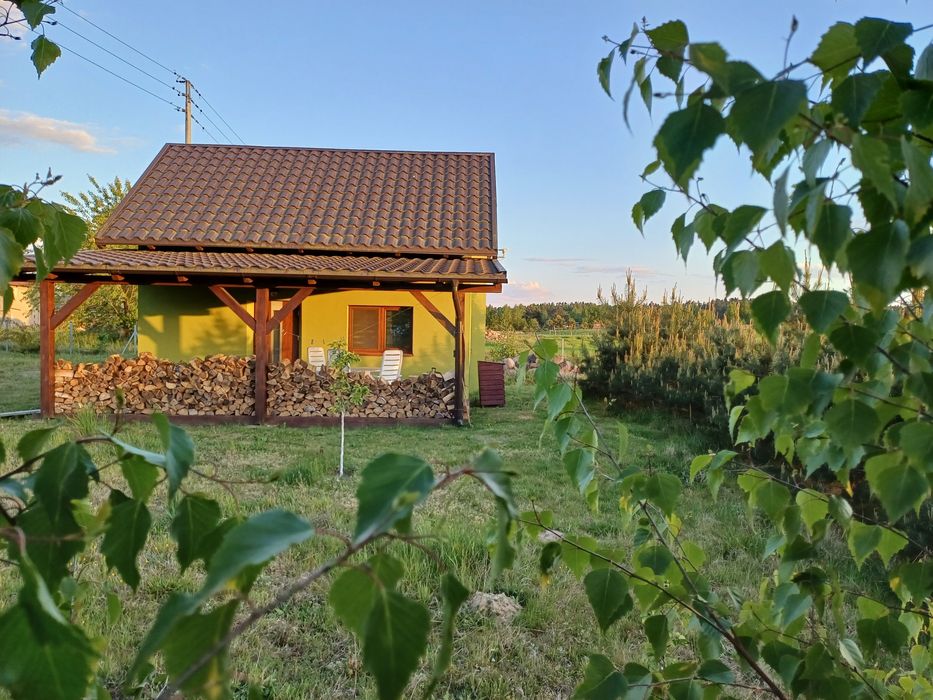 Agroturystyka pod dębem, domek, noclegi, wolne pokoje, Bory Tucholskie