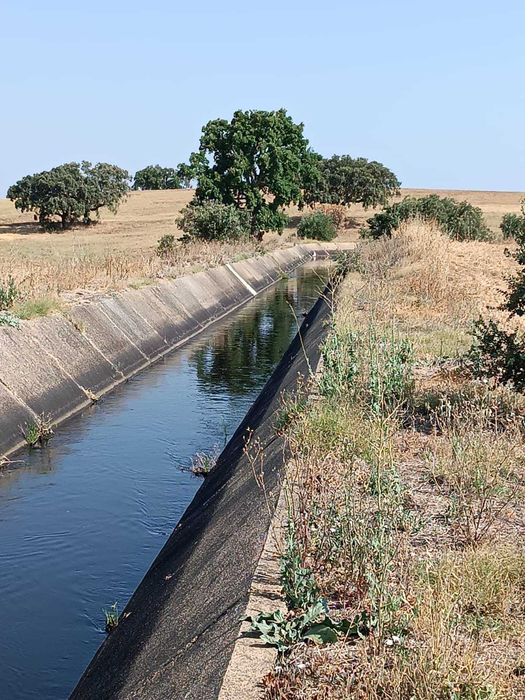 herdade no baixo Alentejo