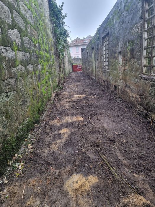 Demolições e terraplanagem - Serviço Profissional
