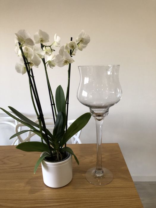 Jarra ou vaso para flores