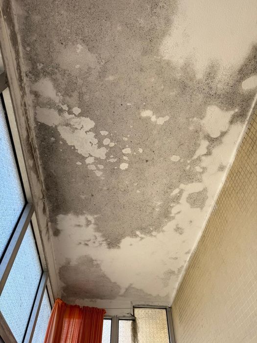 Reparação de Infiltrações / Vazamentos / Fuga de água.