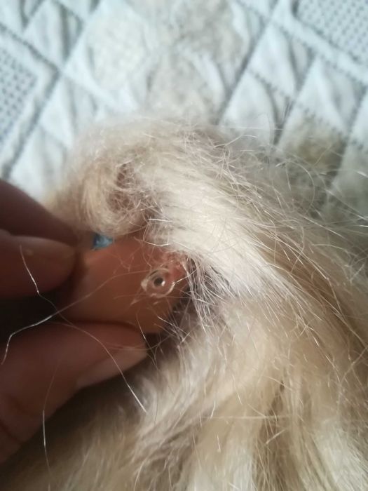 Cabeça Boneca Barbie 3 Looks (Ref. 12339) de 1995