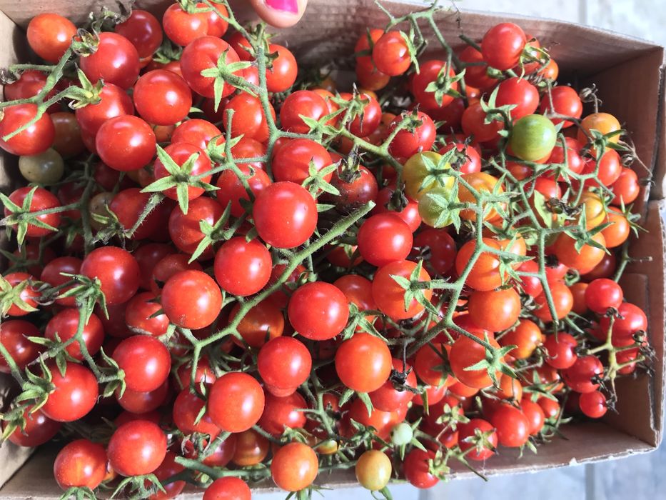 Laranjas bio, preço por kg