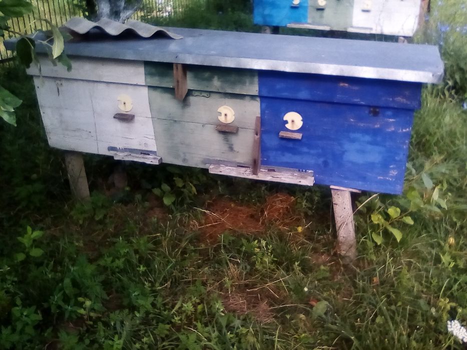 Вулики лежаки.                .