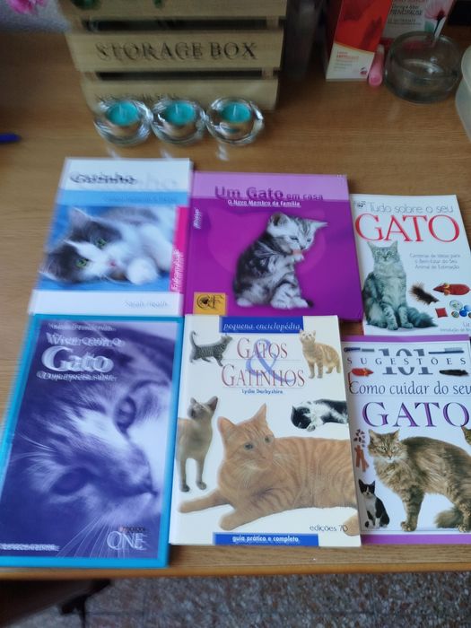 Livros sobre Gatos  - Se vai adoptar