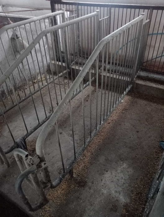 Kojce postojowe pojedynki