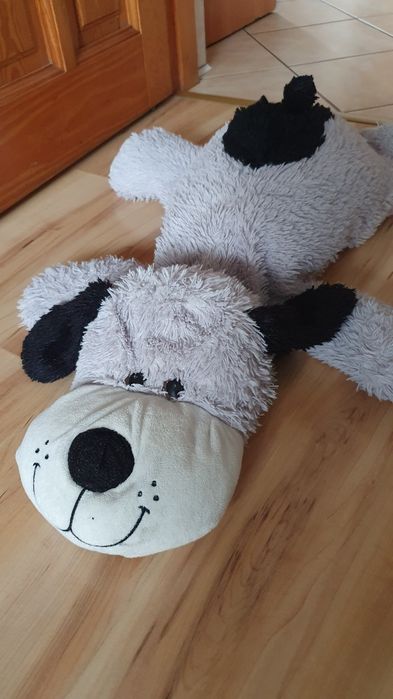 Maskotka leżący pies