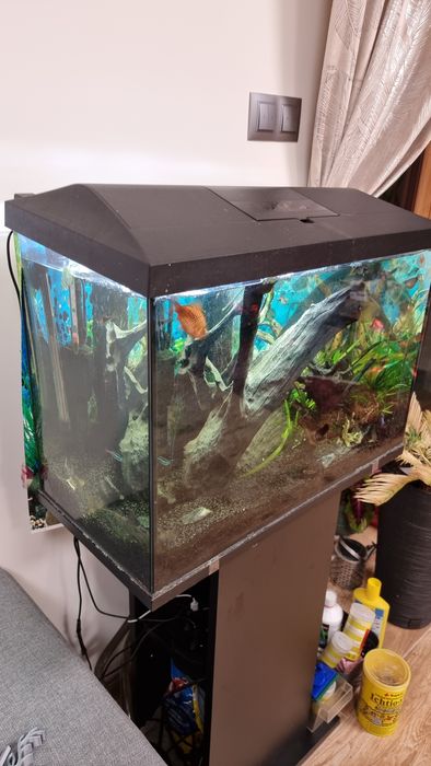 Akwarium 72l  ze stolikiem wyposażeniem i rybkami