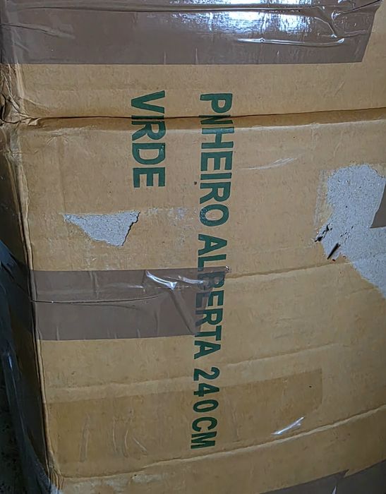 Árvore de Natal com 240 cm