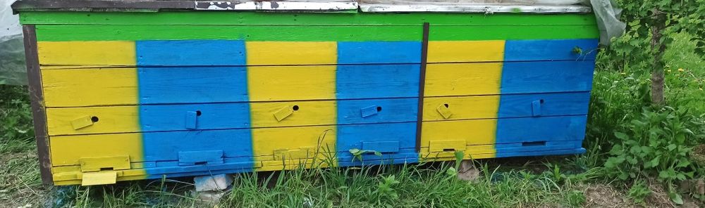 Продам секції 6x2 вуликів на українську рамку