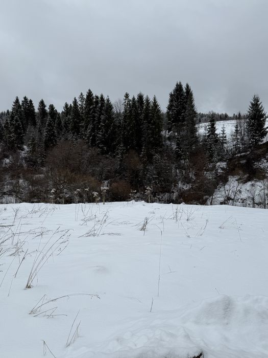 Ділянка в Карпатах  (Західний реабілітаційно - спортивний центр НКСІУ)