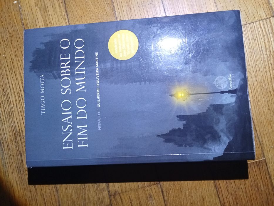 Ensaio sobre o fim do mundo - de Tiago Moita.