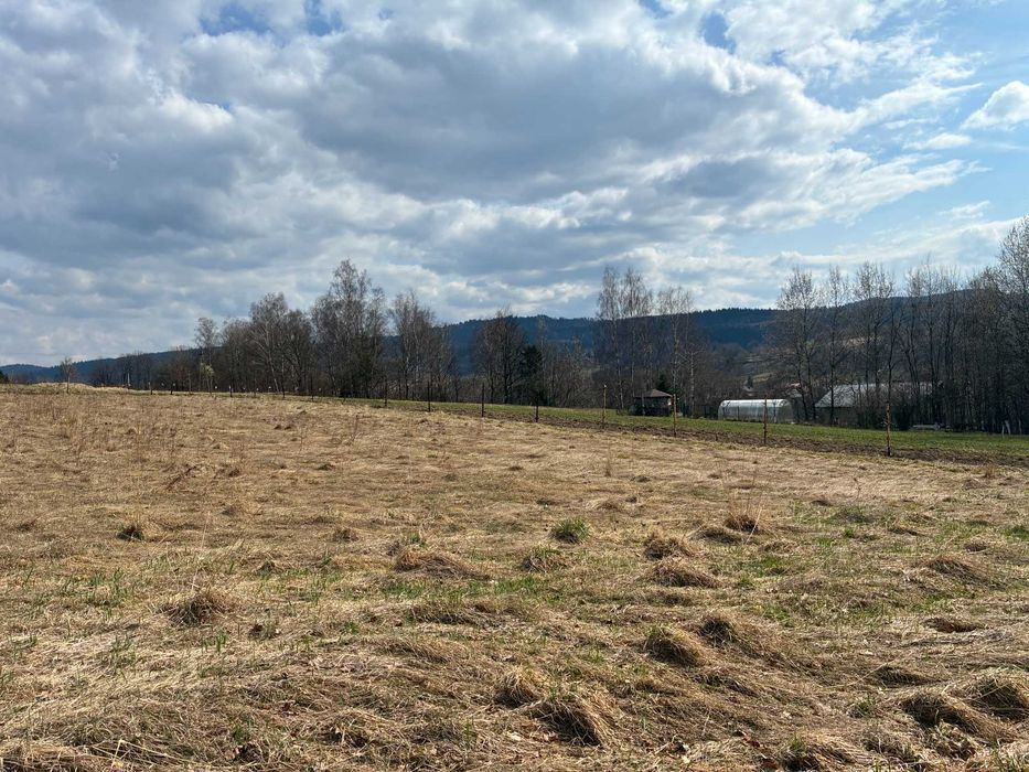 Działka budowlana Gilowice MPZP 769m2