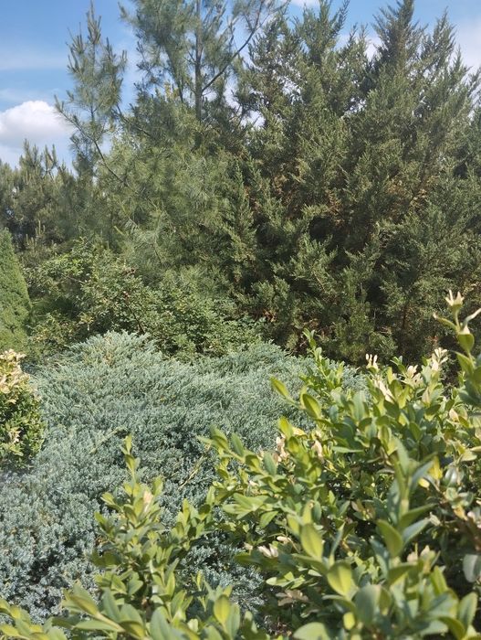 Продам в тихом красивом месте Нововодолажском района  дом  с ставком