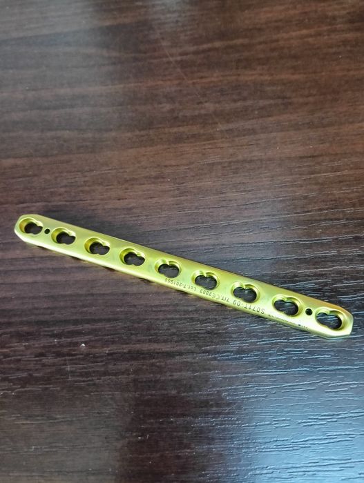 Титанова пластина