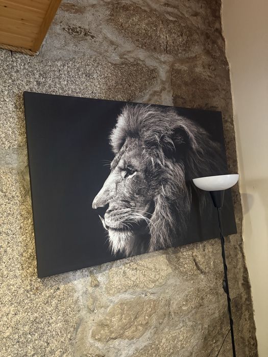 Vendo conjunto de quadros ou separado