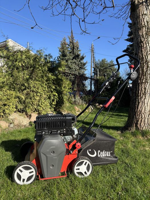 Minikoparka JCB  wynajem wypożyczalnia