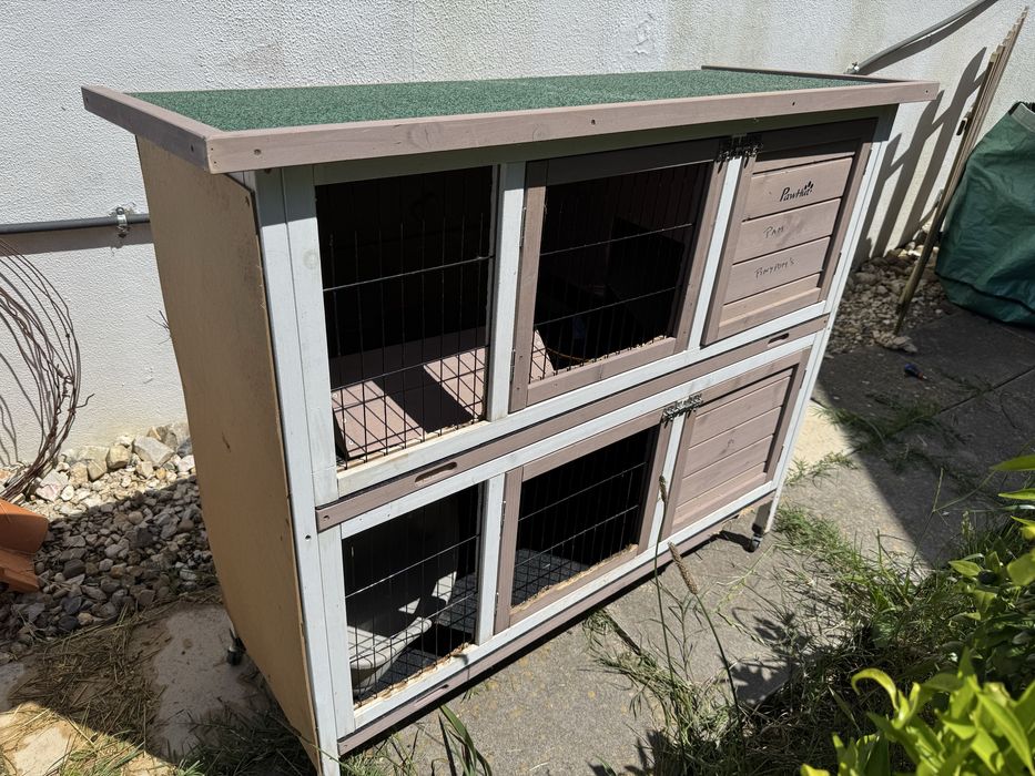 3 coelheiras grandes com acessórios