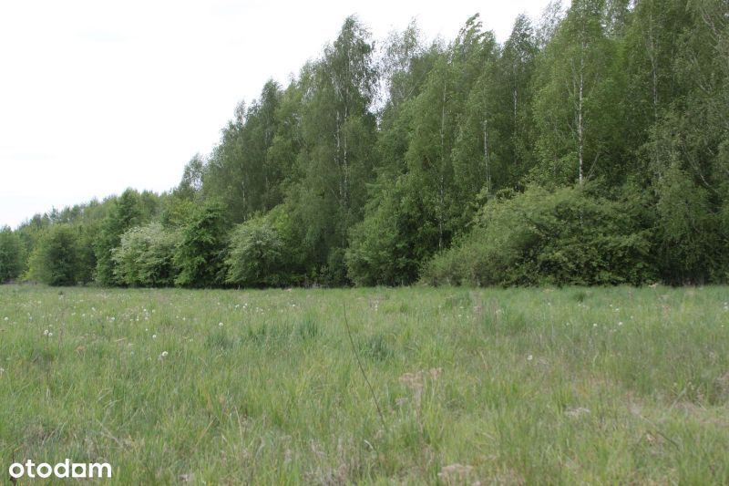 Sprzedam działki budowlane w Gąskach pod Warszawą
