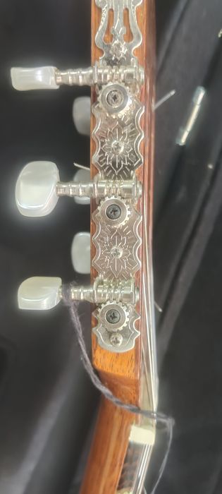 Viola electroacustica nylon